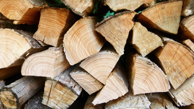 Le guide du stère de bois : son utilisation efficace dans une maison